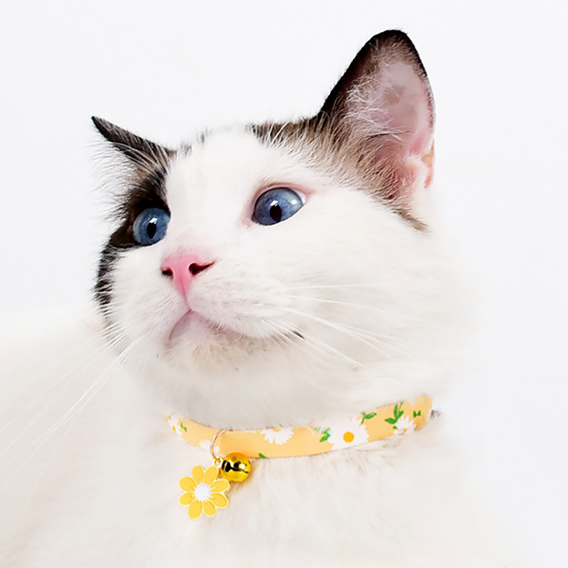 5 popular pet collars,Cat Collar,Adjustable Crystal Pet,Cat Collar with Bell