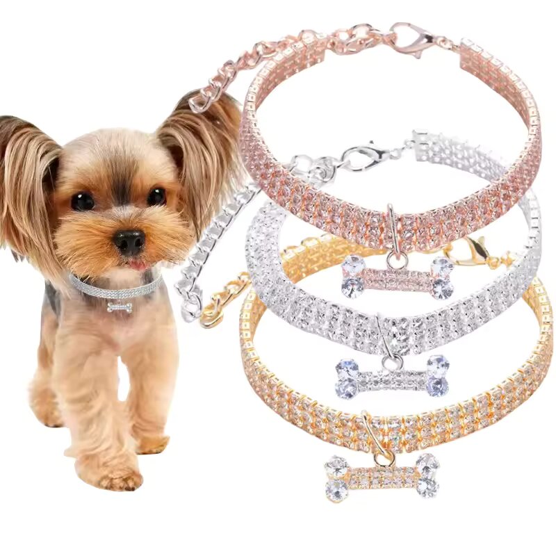5 popular pet collars