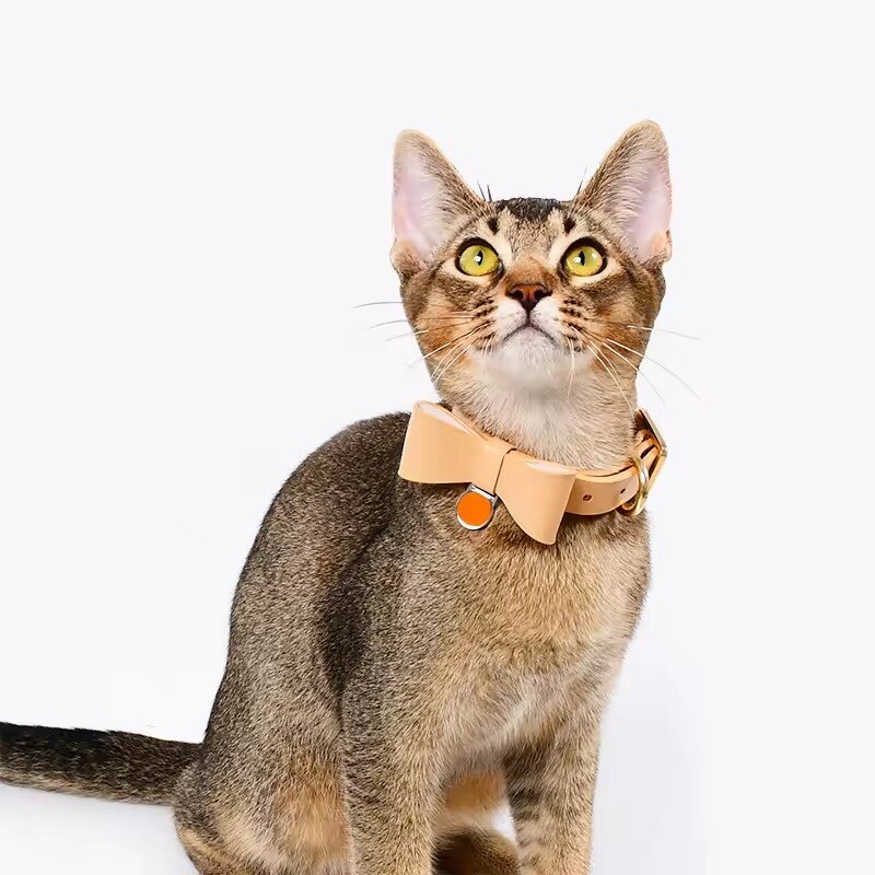 5 popular pet collars,Cat Collar,Adjustable Crystal Pet,Cat Collar with Bell
